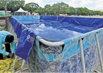 Artificial Ponds Being Prepared for Idol Immersion; Patna Municipal Corporation Urges Use of Designated Sites