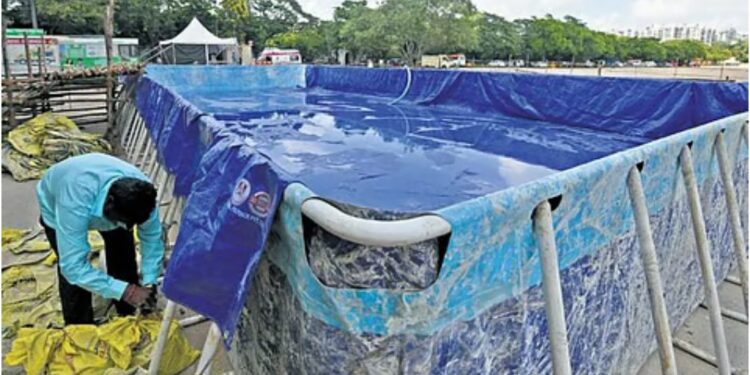 Artificial Ponds Being Prepared for Idol Immersion; Patna Municipal Corporation Urges Use of Designated Sites