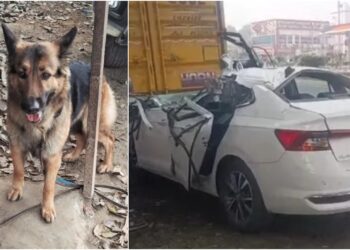 Doctor Couple Killed in Vaishali Road Collision While Travelling to Patna; Family Dog Survives