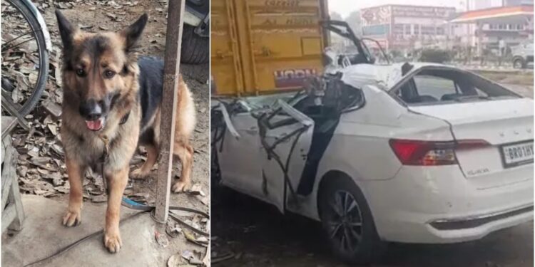 Doctor Couple Killed in Vaishali Road Collision While Travelling to Patna; Family Dog Survives