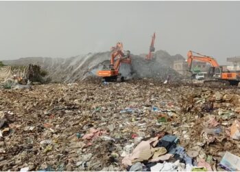 Mountains of Garbage in 261 Bihar Cities as Waste Collection Plan Fails, Pollution and Disease Spread