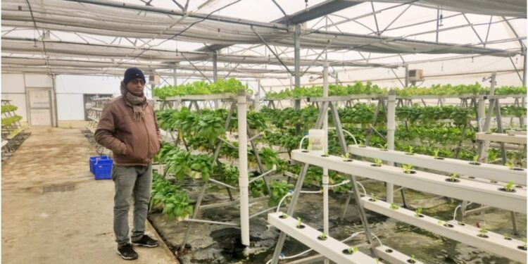 Farming in the Air in Bihar: No Soil, No Water Needed – Discover This New Technique