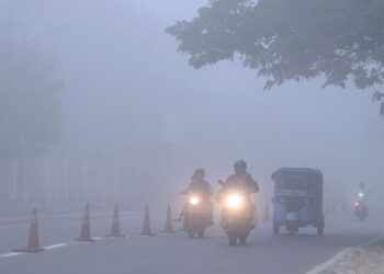 Meteorological Department Issues Yellow Alert as Dense Fog Reduces Visibility Across Northern and Central Bihar