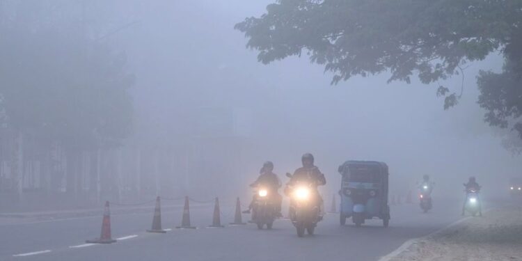Meteorological Department Issues Yellow Alert as Dense Fog Reduces Visibility Across Northern and Central Bihar