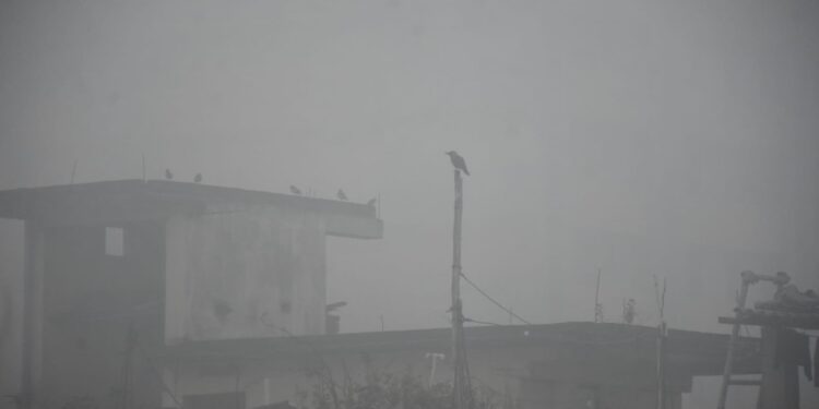 Low Visibility, Slow Movement: Patna Battles Another Fog-Choked Morning