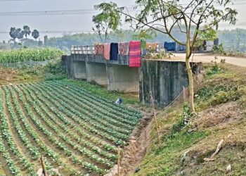 A bridge without a river: Bihar Villagers Question Rs 6.7 Crore Structure Built in Middle of a Field