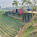 A bridge without a river: Bihar Villagers Question Rs 6.7 Crore Structure Built in Middle of a Field
