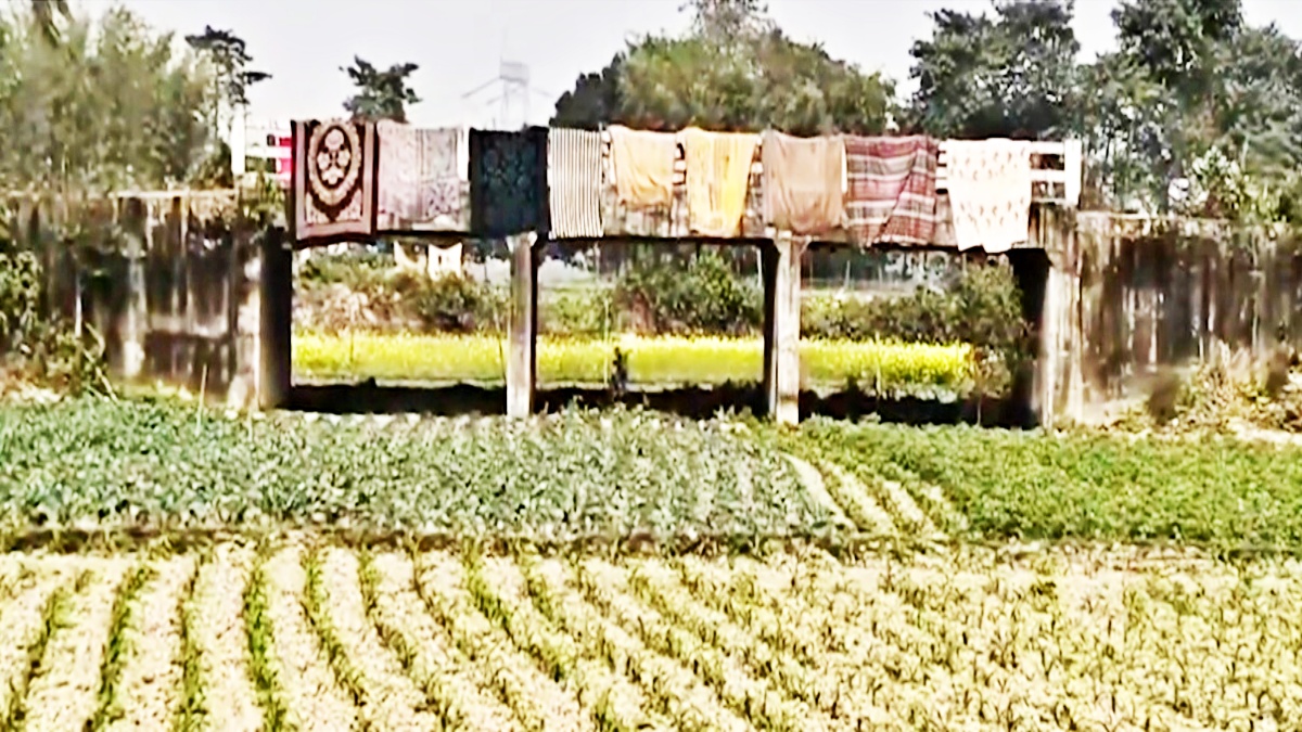 A bridge without a river: Bihar Villagers Question Rs 6.7 Crore Structure Built in Middle of a Field