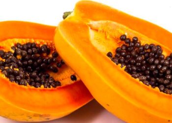 Bihar Government Announces Papaya Farming Subsidy of up to Rs 45,000 per Hectare Across 22 Districts
