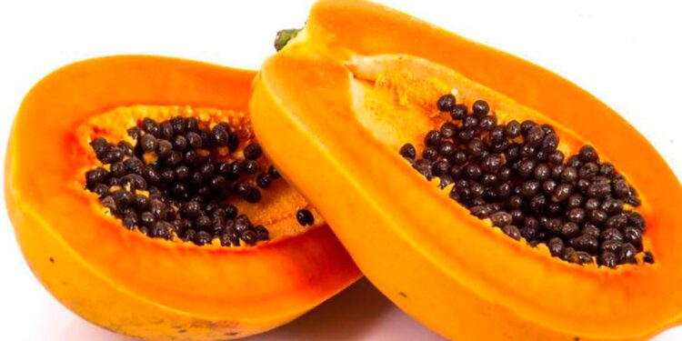 Bihar Government Announces Papaya Farming Subsidy of up to Rs 45,000 per Hectare Across 22 Districts