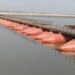 Kosi Pontoon Bridge in Khagaria Opens New Lifeline for Bihar, Cutting Travel Distance by Nearly Two-Third