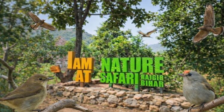 Rajgir Emerges as Global Migratory Bird Hub, Forest Survey Finds Record Species Count