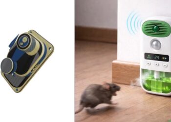 Bihar Professor Develops Poison-Free Device To Keep Rats Away, Secures UK Patent