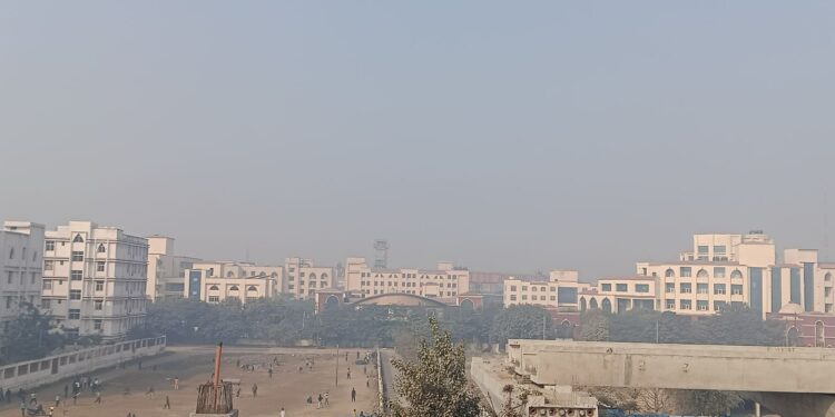 Brief Sunshine Brings Relief to Bihar After Weeks of Fog, But Cold Set to Return