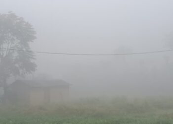 Winter fog in Bihar West Champaran district