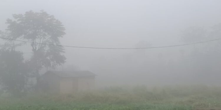Winter fog in Bihar West Champaran district