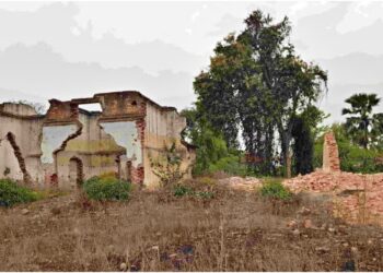 Marhaura Hopes for Revival as Bihar Sugar Mill Set to Reopen