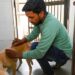 Patna Municipal Corporation Begins Big Drive to Count Stray Dogs in Hospitals and Campuses