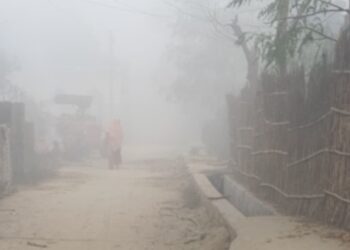 cold wave in Bihar