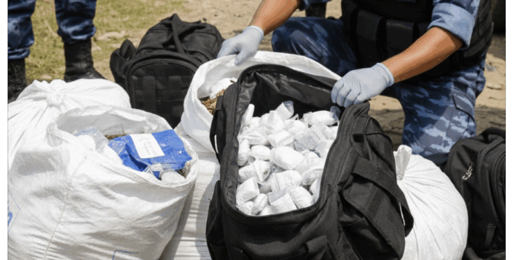 Bihar Police Seize 620kg Of Cannabis in Biggest Drug Bust in Supaul District