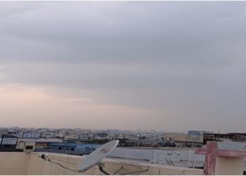 Cold Wave Persists in Bihar as Daytime Temperatures Rise Across 25 Districts, Including Patna