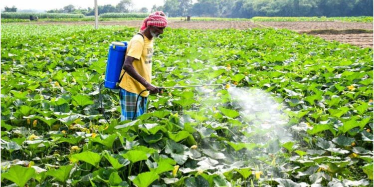 Bihar Agriculture Minister Promises No Farmer Will Lose Scheme Benefits; Crackdown on Fertiliser Black Marketing Underway