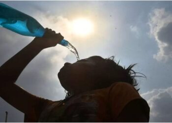 Bihar Weather: Temperatures Soar to 31°C as Heat Intensifies, Winter Bids Farewell Before Holi