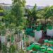 Bihar Government Offers 75% Subsidy for Rooftop Gardening to Boost Nutrition and Incomes; Here’s How to Apply