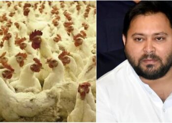 Bird Flu Outbreak Before Holi Prompts Alert in Patna and Sanitisation of Residence of Tejashwi Yadav