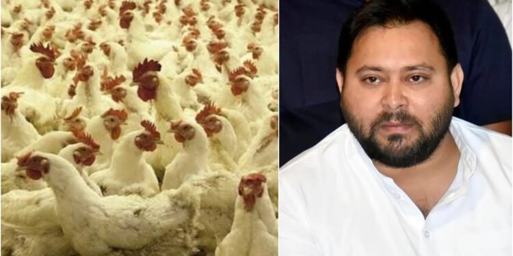 Bird Flu Outbreak Before Holi Prompts Alert in Patna and Sanitisation of Residence of Tejashwi Yadav