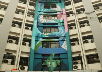 Bihar Energy Department Issues Holi Safety Advisory, Warns of Accidents Near Power Lines and Disconnection for Unpaid Bills