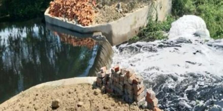 Village in Darbhanga sees revival after check dam ends years of water scarcity