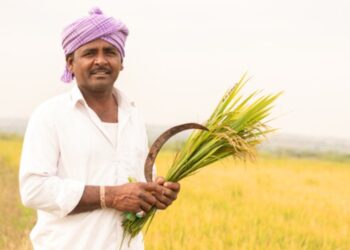 Farmer Registry Drive Achieves 50% Target in Bihar; Vaishali, Sheohar, Begusarai Among Top Performers