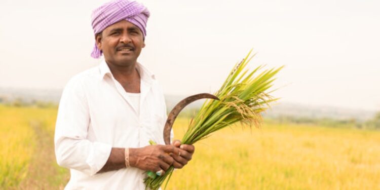 Farmer Registry Drive Achieves 50% Target in Bihar; Vaishali, Sheohar, Begusarai Among Top Performers