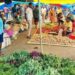 725 modern rural markets to boost farm incomes and women-led enterprises