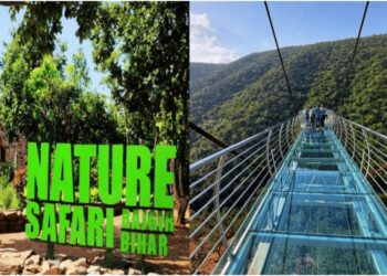 Rajgir Tourism to Expand With More Safari Tickets and Longer Hours at Venuvan