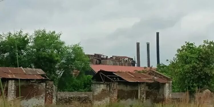 Bihar’s Sasamusa Sugar Mill Set For Revival As Karnataka’s Nirani Sugars Shows Interest