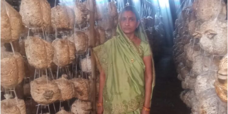 Jeevika Women Build New Livelihoods Through Mushroom Farming