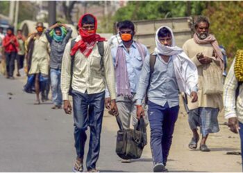 Bihar Government to Build First Database of Migrant Workers and Launch Helpline in Patna