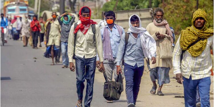 Bihar Government to Build First Database of Migrant Workers and Launch Helpline in Patna