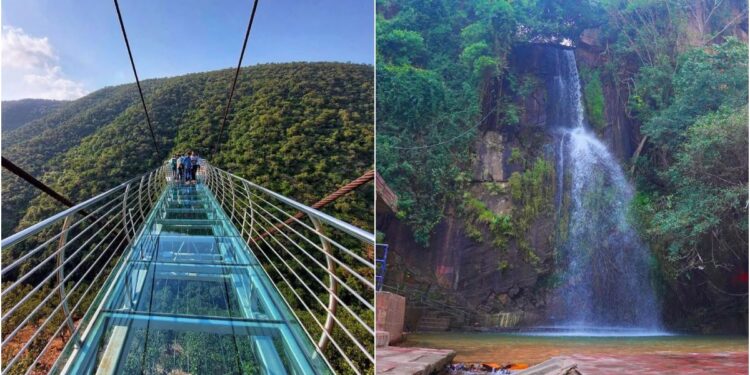 Bihar’s Eco-Tourism Boom: From Rajgir Glass Skywalk to Kakolat Falls, Nature Destinations See Surge in Visitors