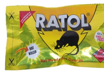 Bihar Government Imposes Immediate Ban on Ratol Paste Over Lethal Toxicity and Legal Violations