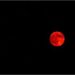 Blood Moon Lunar Eclipse to Be Visible Across Cities of Bihar at Specified Times