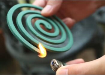 Mosquito Repellent Incense Sticks and Coils Harmful to Health, Doctor Advises Caution