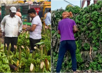 Karnataka Bananas in Higher Demand Than Local Varieties as Chhath Drives Up Fruit and Vegetable Prices in Patna