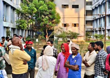 Wildlife Turns Deadly: Nilgai Herd Crashes Into Auto, Father-Son Killed In Bihar