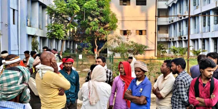 Wildlife Turns Deadly: Nilgai Herd Crashes Into Auto, Father-Son Killed In Bihar