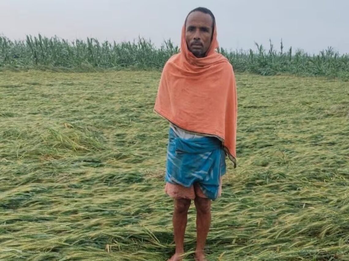 Unseasonal Rains Damage Rabi Crops Across Bihar, Farmers Face Losses ...