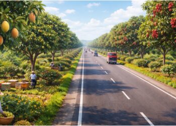 Bihar’s Big Green Plan: 21,000 Trees to Transform Patna–Gaya Highway