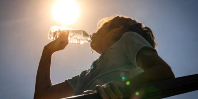 Bihar braces for hotter Holi as temperatures set to climb by up to 3C